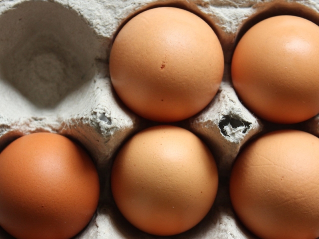 brown eggs on gray egg tray