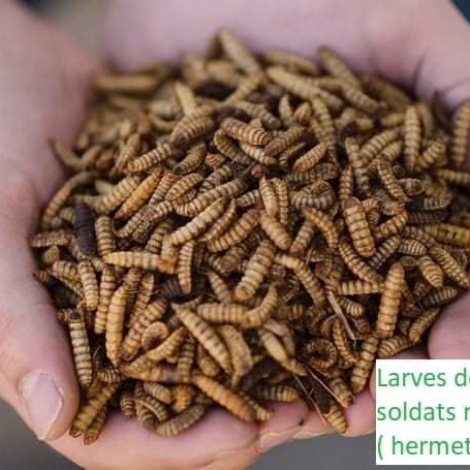 WhatsApp Image 2022-02-03 at 10.56.26