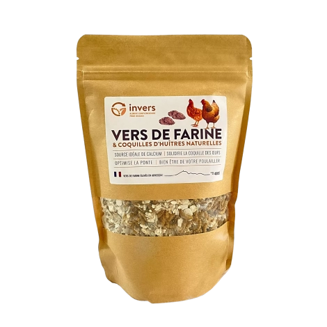 Photo vers de farine et coquilles d huitres