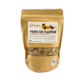 Photo vers de farine et tournesol decortiqué