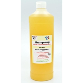 shampoing-tea-tree