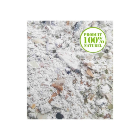 poulettine-complement-mineral-pondeuses