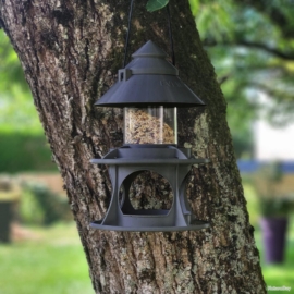 Abreuvoir-et-Mangeoire-Distributeur-pour-Oiseaux-du-ciel-CELESTE-Gris anthracite
