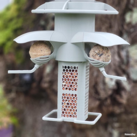 Mangeoire oiseaux sauvage tour celeste gris clair