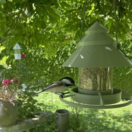 mangeoire oiseaux sauvage celeste à suspendre vert olive