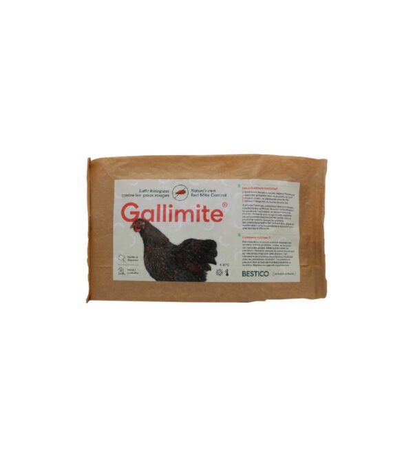 GALLIMITE, le nouveau prédateur naturel des poux rouges
