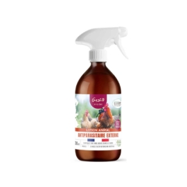 lotion-anti-poux-application-sur-la-poule