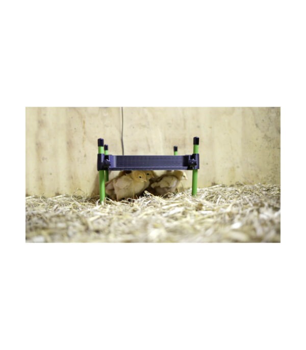 Plaque chauffante poussins 25x30 cm – Image 2