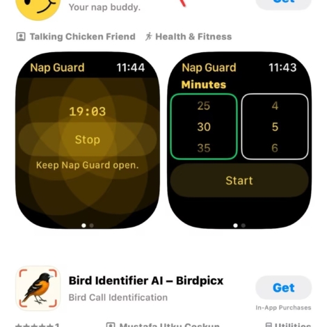 mangeoire inteligente 2