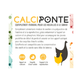 calciponte-complement-mineral