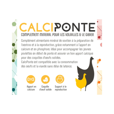 calciponte-complement-mineral
