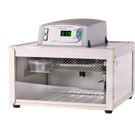 CIP28