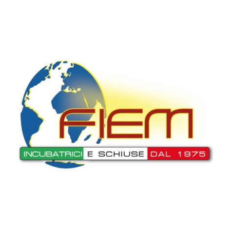 FIEM-Logo